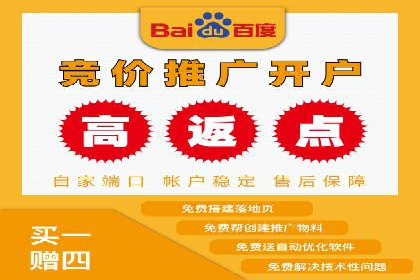 案例解析：揭秘高效竞价推广技巧
